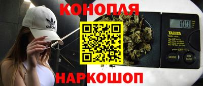 mdpv Краснознаменск
