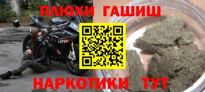 гидра Краснокаменск