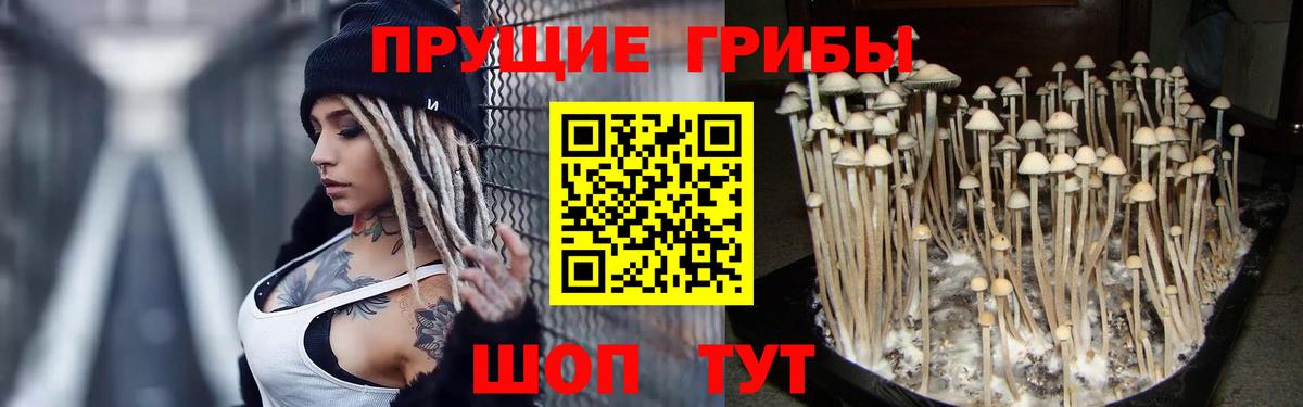 Коломна  Галлюциногенные грибы Psilocybe  дарнет шоп  Вход с VPN 